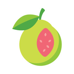 Guava fresh green fruit with sliced detail in clean flat style color vector illustration