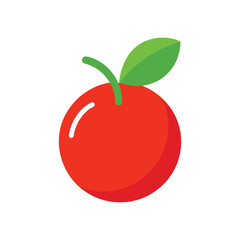 Lablab fruit flat bean shaped fruit with vibrant design in vector drawing color vector illustration