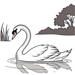 Fototapeta premium elegant swan lake transparent 