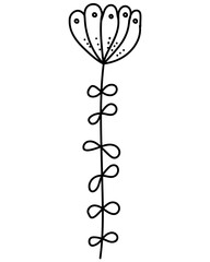 Linear flower in doodle style, outline plant with tall stem and rounded petals for design