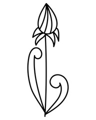 Linear tulip in doodle style, outline flower with curled leaves for design