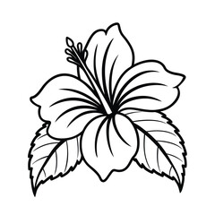 Tropical hibiscus flower with lush green leaves in sunlight on white background Line art
