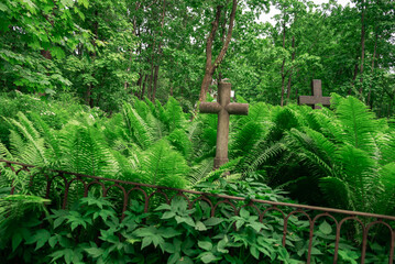Overgrown cemetery with stone crosses amid lush greenery in serene forest setting