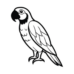 Colorful macaw parrot perched calmly on tropical branch on white background Line art