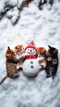 small, cute kittens playing happily in the snow with a snowman during the winter season in outdoor activities in nature