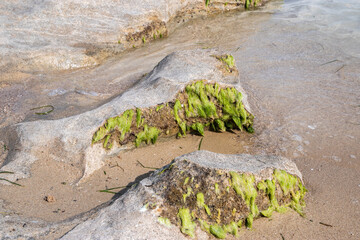 Beautiful eroded stone on calm sea waters on sunny summer day on the beach closeup
