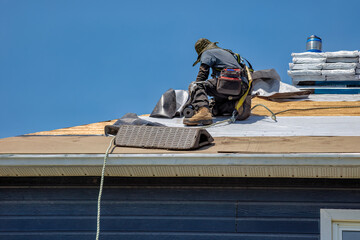 Professional Roofer Installing Asphalt Shingles on Residential House Roof with Safety Equipment