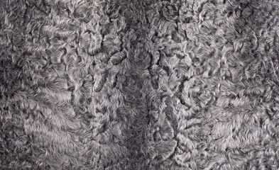 gray background and lamb wool texture