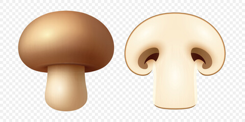 Vector 3d Whole and Sliced Champignon Mushroom Set. Realistic Fresh White Mushroom with Cut Section for Cooking Ingredient, Food Packaging, Grocery, Organic Product, Recipe, Culinary Illustration