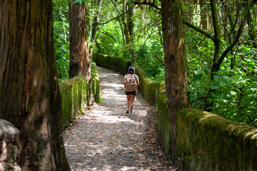 A woman dressed in casual attire walks down a winding dirt path surrounded by tall trees in a forest.