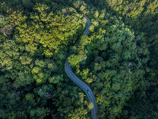 road in beautiful autumn forest at sunset, trees with green and orange leaves , Top view landscape view from flying drone in Nature