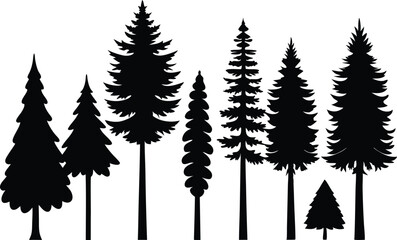 Fototapeta premium Silhouettes of evergreen trees in a forest setting