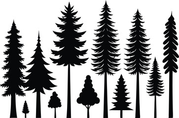 Obraz premium Silhouettes of evergreen trees in a forest setting
