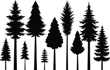 Obraz premium Silhouettes of evergreen trees in a forest setting
