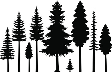 Fototapeta premium Silhouettes of evergreen trees in a forest setting