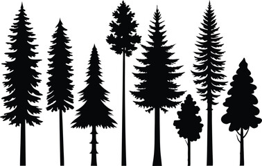 Fototapeta premium Collection of silhouettes of evergreen trees in a forest