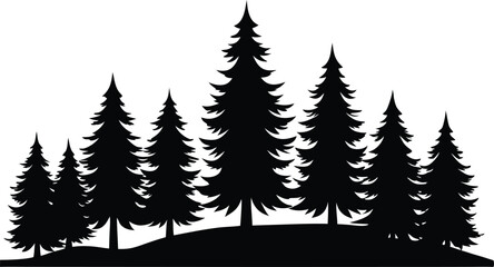 Fototapeta premium Silhouetted evergreen trees winter forest landscape