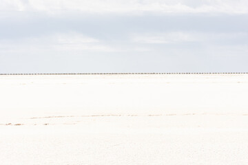 White salt marsh desert of the Aral Sea,  Uzbekistan