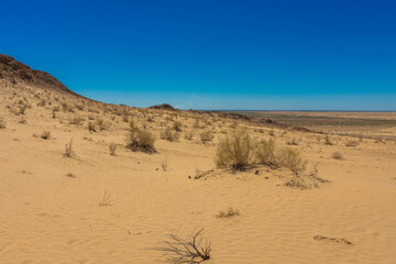 Landscape of the sand dunes of the Kyzylkum Desert,  Uzbekistan