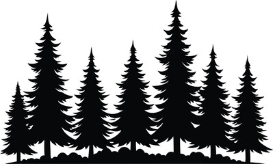 Obraz premium Silhouetted evergreen trees winter forest landscape