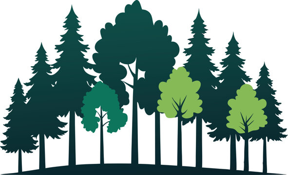 Majestic forest silhouette diverse trees nature scene