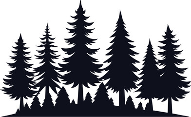 Obraz premium Majestic silhouette of evergreen trees in a forest