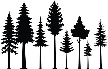 Fototapeta premium Silhouettes of various evergreen and deciduous trees