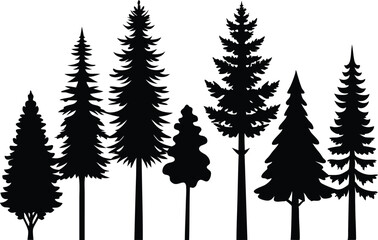 Fototapeta premium Silhouettes of various evergreen trees in a forest