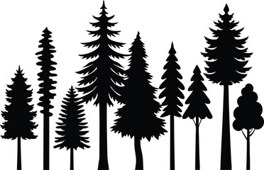 Obraz premium Silhouettes of various evergreen trees in a forest