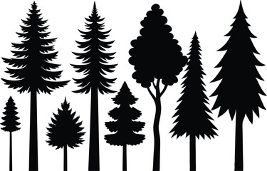 Obraz premium Silhouettes of various evergreen and deciduous trees