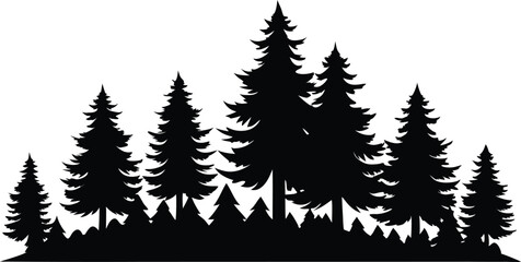 Obraz premium Majestic silhouette of evergreen trees in a forest