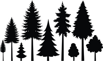 Fototapeta premium Silhouettes of various evergreen trees and shrubs