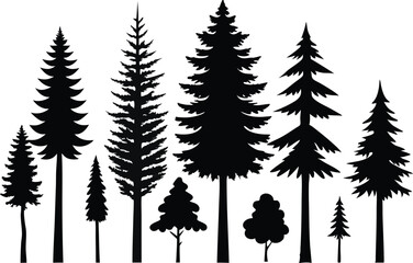 Obraz premium Silhouettes of various evergreen trees and conifers in a forest