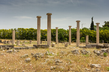 Ancient greek columns in Pella, archaeological site in Macedonia,  birthplace of Alexander the Great, Greece
