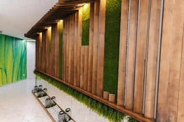 Modern beauty clinic interior with wooden panels and green wall creating relaxing atmosphere in...