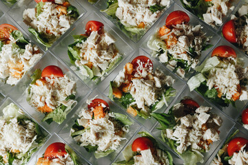Multiple Salad Bowls with Chicken and Vegetables