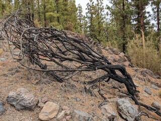 Tenerife panorama landscape,beautiful nature view mountains from hiking trips on Tenerife island, Canary Islands Spain