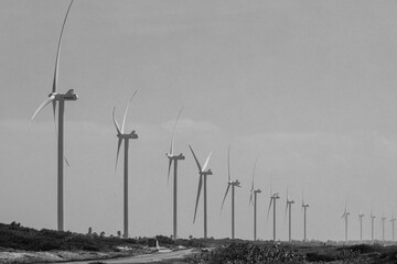 Black and white image of wind farm in Mannar, Sri Lanka.