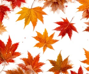 Fototapeta premium Autumn forest maple tree background nature tree aesthetic 