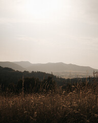 Panoramic view of the mountains and valley, with the foreground covered with dry, golden grasses and vegetation, on a summer, slightly foggy day