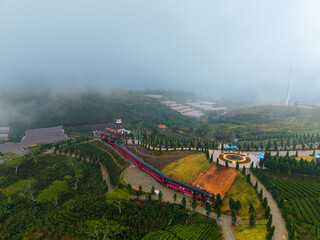 Scenic tea plantation and train in misty Da lat, Vietnam countryside