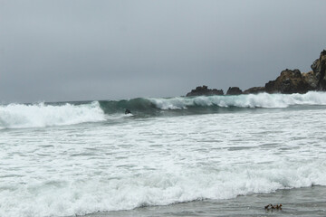 surfing on the coast