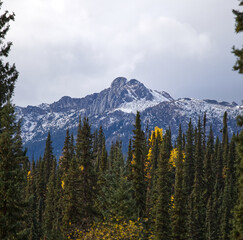 High Mountain peak through aspen trees