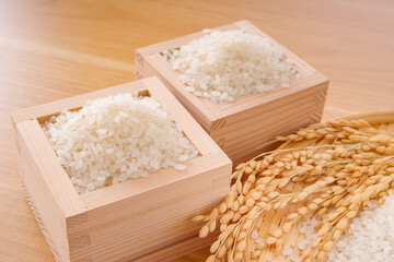 日本の主食、白米と稲穂