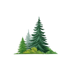 Cluster of evergreen trees, including tall pine and spruce, stands amidst lush green foliage, creating serene and natural forest scene. illustration captures essence of tranquility and nature