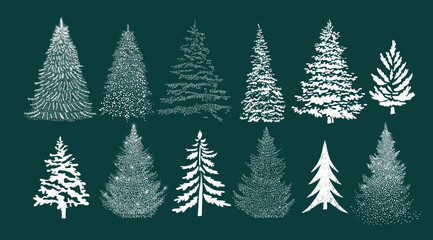 Set of graphic snowy Christmas trees. hand drawing. Not AI. Vector illustration.