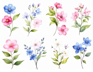 Watercolor pattern flowers 