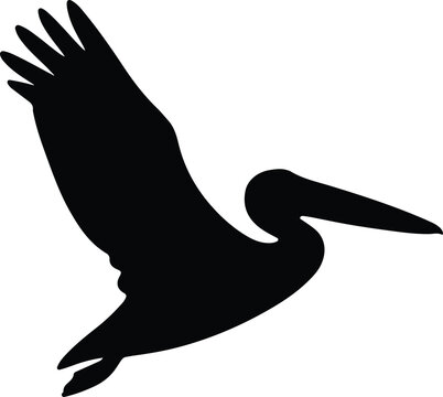 Silhouette pelican bird flying in black vector illustration