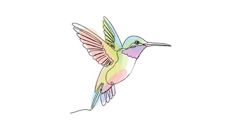 Fototapeta premium Hummingbird bird logo in one line doodle drawing with watercolor fill, minimalistic vector illustration png and svg.