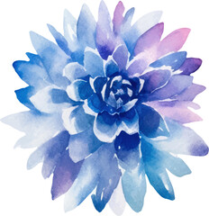 Watercolor painted dahlia flower. Hand drawn design element isolated on white background.